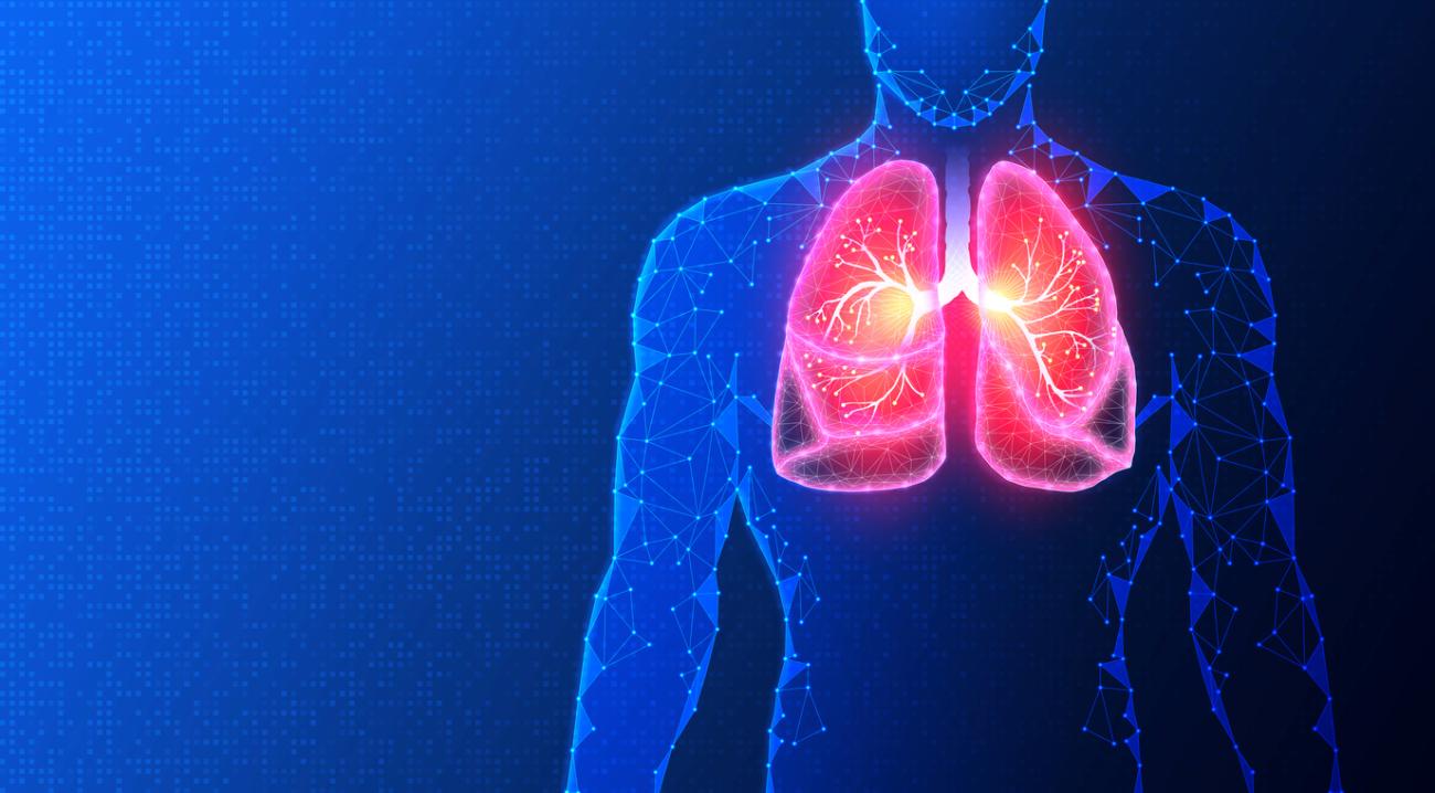 Digital illustration of lungs inside human body.