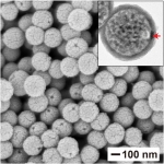 Nanoscale “Glass” Bottles Could Enable Targeted Drug Delivery Nanoscale “Glass” Bottles Could Enable Targeted Drug Delivery