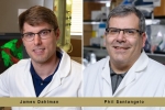 Dahlman and Santangelo Awarded $3.5M NIH Grant to Develop a New mRNA-based Drug that Corrects DNA in Genes Dahlman and Santangelo Awarded $3.5M NIH Grant to Develop a New mRNA-based Drug that Corrects DNA in Genes