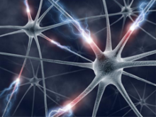 Neuroengineering Neuroengineering