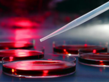 Cellular Engineering and Mechanics Cellular Engineering and Mechanics