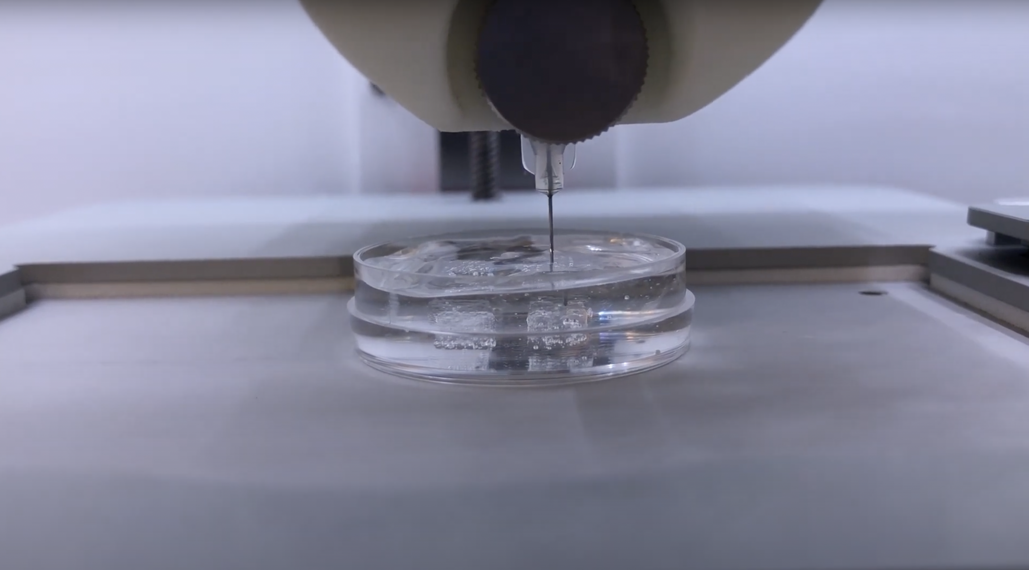 bioprinting