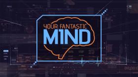 Your Fantastic Mind title screen with outline of a brain in a box.