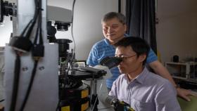 BME Professor Cheng Zhu and research scientist Kaitao Li (foreground) are among the co-authors of a new Perspective article in Nature Immunology.