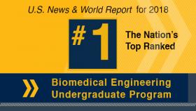 The Nation's Top Ranked BME Biomedical Engineering Undergraduate Program