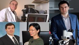 Petit Institute researchers who received seed grants are (top left, clockwise): John McDonald, Fatih Sarioglu, Shuyi Nie, and Denis Tsygankov.