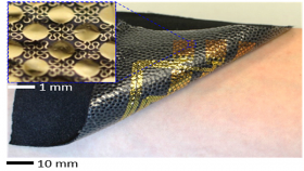 Photo of a fabricated L-EES, gently placed on the skin (forearm)