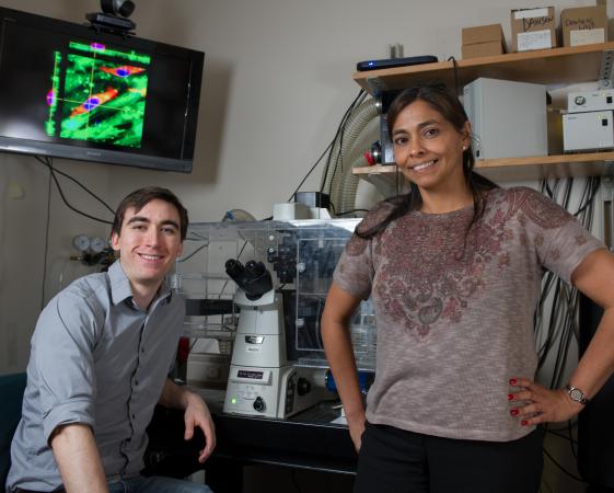 Professor Michelle Dawson and graduate student Daniel McGrail have published an analysis of the downstream signaling pathways of a gene called SNAIL, which could be used to identify potential targets for scientists who are looking for ways to block or slow metastasis. Credit: Rob Felt/Georgia Institute of Technology  