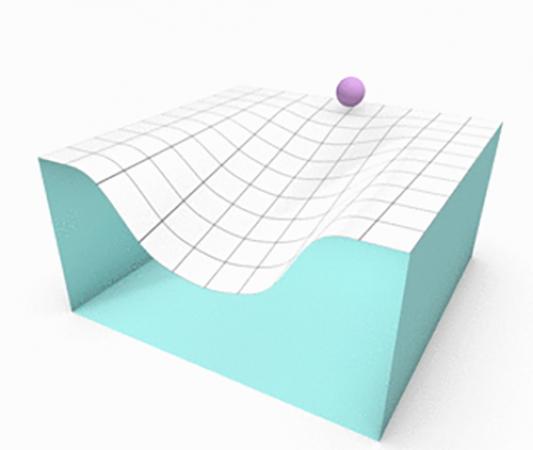 A graphic depiction of canalization. The path of the ball represents the development toward a phenotype, which may start with varying genetic foundations but roll out to secure phenotypical outcomes. But canalization can also lead to more than one possible phenotypical outcome from one set of genes. Credit: Georgia Tech / Harriss Callahan