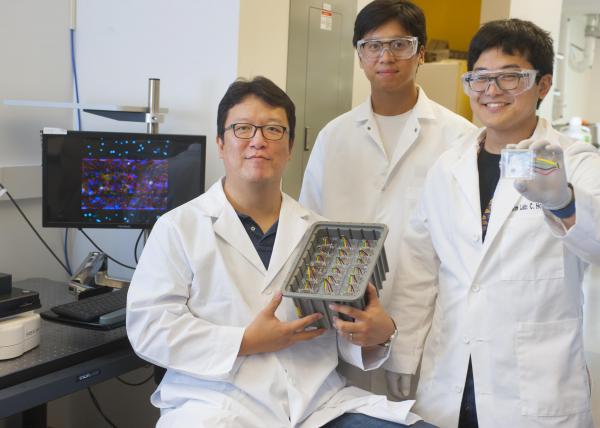 Principal investigator Tony Kim with graduate research assistant Yoshitaka Sei (r.) and research engineer Jiwon Yom (m.) in Kim's lab at Georgia Tech. They are holding microvessel mimicking chips. More advanced versions to be developed in their new NIH-funded project will contain artificial human coronary arteries for research to better understand HDL, or good cholesterol, and why experimental treatments using it to fight atherosclerosis have failed. They hope to optimize HDL cocktails to be effective aga