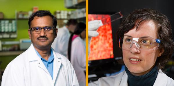 Professors Krishnendu Roy and Johnna Temenoff have won Georgia Tech’s award for Outstanding Achievement in Research Program Development in 2020.