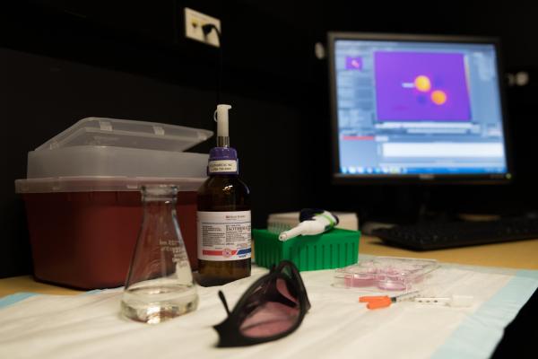 A heat-sensitive gene switch implanted in a sample of T-cells works in an in vitro check. Gentle pulses from a near-infrared laser directed at gold nanoparticles, which are also in the sample with the T-cells, transform into gentle heat and flip the switch on, activating the T-cells. The resulting signal appears as orange dots on a monitor in the background. Location: Gabe Kwong lab at Georgia Tech.  Credit: Georgia Tech / Allison Carter