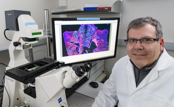 Phil Santangelo, associate professor, in the Wallace H. Coulter Department of Biomedical Engineering at Georgia Tech and Emory University