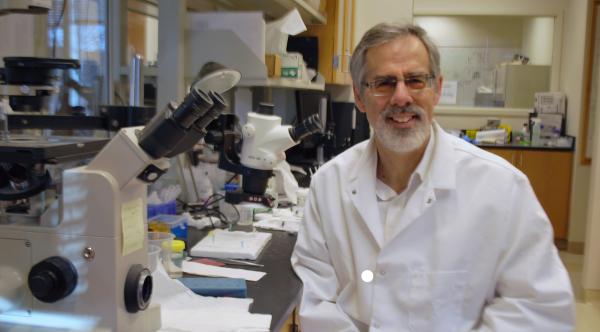 Ross Ethier, professor and Georgia Research Alliance Lawrence L. Gellerstedt Jr. Eminent Scholar in Bioengineering