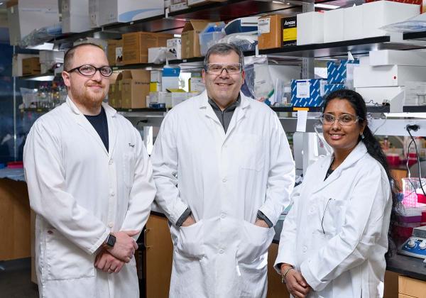 Graduate student Daryll Vanover, professor Philip Santangelo and post-doctoral fellow Pooja Tiwari were co-authors on a study that used mRNA-expressed antibodies to prevent RSV infection in mice.