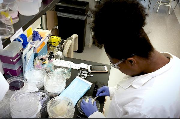 Tailynn McCarty is a chemical engineering major from the University of Rhode Island. She worked in the laboratory of Hang Lu, the Love Family Professor in Georgia Tech’s School of Chemical and Biomolecular Engineering. (Credit: Brice Zimmerman, Georgia Tech)