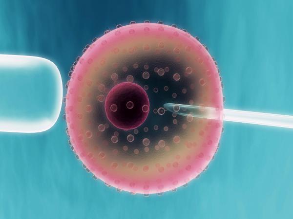 Cell manipulation