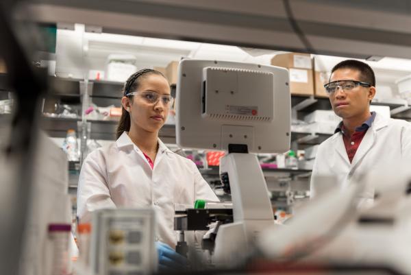 Postdoctoral Fellow Randall Toy and Research Experience for Undergraduates (REU) Program student Angela Jimenez monitor a test underway in the research laboratory of Krishnendu Roy at Georgia Tech. (Credit: Rob Felt, Georgia Tech)