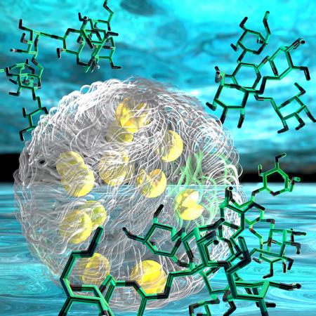 An illustration of part of a synthetic organelle without a membrane. Here we see two layers that phase separate like oil and water, but both layers are water. There is no oil. Each layer contains a different solute that gives it its own chemical thermodynamics, keeping it separate from the other one. Chemical reactions cascade from one layer to the next in a chain reaction. The molecules illustrated on the outside are sugars called dextran, a solute. The gray middle layer contains an enzyme, depicted as s