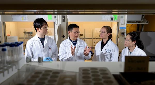 Professor Younan Xia confers with his laboratory staff on research aimed at reducing the amount of platinum used in catalysts. Shown (left to right) are: Jinho Park, Younan Xia, Madeline Vara, and Xue Wang. (Credit: Rob Felt, Georgia Tech)