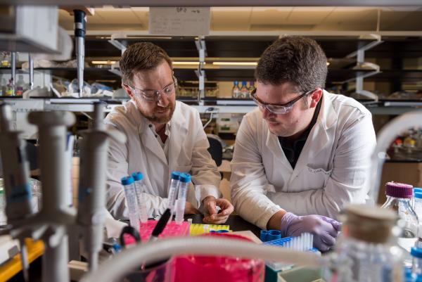 Associate professor Tom Barker (left) and graduate research assistant Dwight Chambers discuss research issues in Barker’s laboratory in Georgia Tech’s Engineered Biosystems Building. Barker has received a $3.5 million, five-year grant to support research into new approaches for tracking and treating pulmonary fibrosis. (Credit: Rob Felt, Georgia Tech)