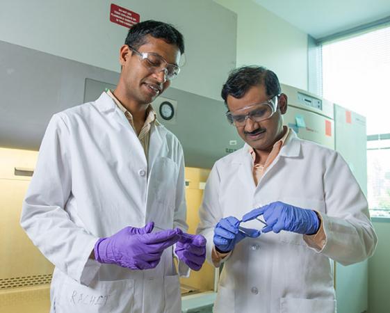 Dr. Krishnendu Roy (right) and Rachit Agarwal examine a silicon wafer. (Credit: Rob Felt)