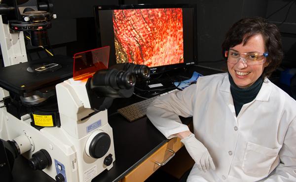 Johnna Temenoff, an associate professor in the Wallace H. Coulter Department of Biomedical Engineering at Georgia Tech and Emory University, has been awarded a $1 million grant to develop an injectable therapy for rotator cuff injuries. Credit: Rob Felt.