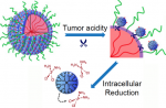 Nanoparticles deliver anticancer cluster bombs Nanoparticles deliver anticancer cluster bombs