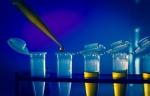 ImmunoEngineering Seed Grants Announced ImmunoEngineering Seed Grants Announced