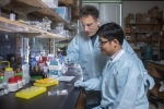 Long-Acting Contraceptive Designed to be Self-Administered Via Microneedle Patch Long-Acting Contraceptive Designed to be Self-Administered Via Microneedle Patch
