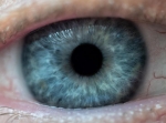 Hydrogel Could Open New Path for Glaucoma Treatment Without Drugs or Surgery Hydrogel Could Open New Path for Glaucoma Treatment Without Drugs or Surgery