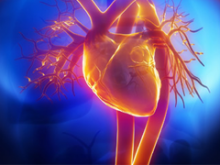 Cardiovascular Engineering Cardiovascular Engineering