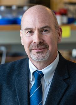 Photo of Scott Hollister
